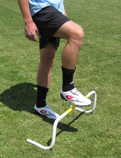 Non Toppable Hurdle  XXX (50527)