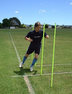 Agility Pole  XXX (69017)