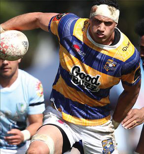 bay of plenty rugby merchandise